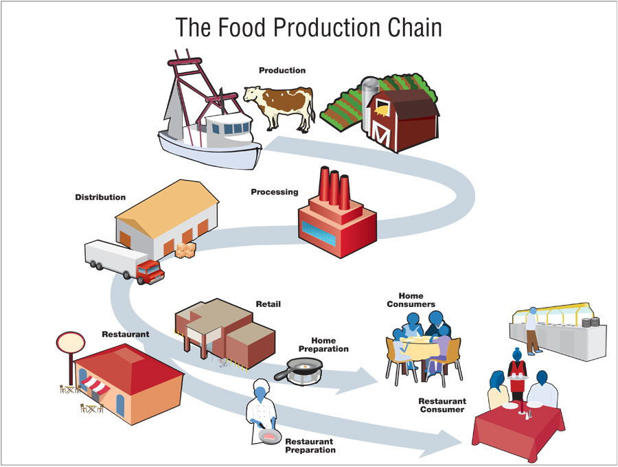 Food Production chain
