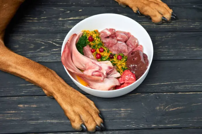 The Best Raw Dog Food Brands in Canada (2025) 24 BARF Diet