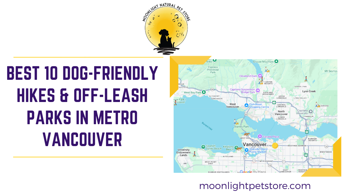 Best 10 Dog-Friendly hikes and off-leash parks in metro Vancouver