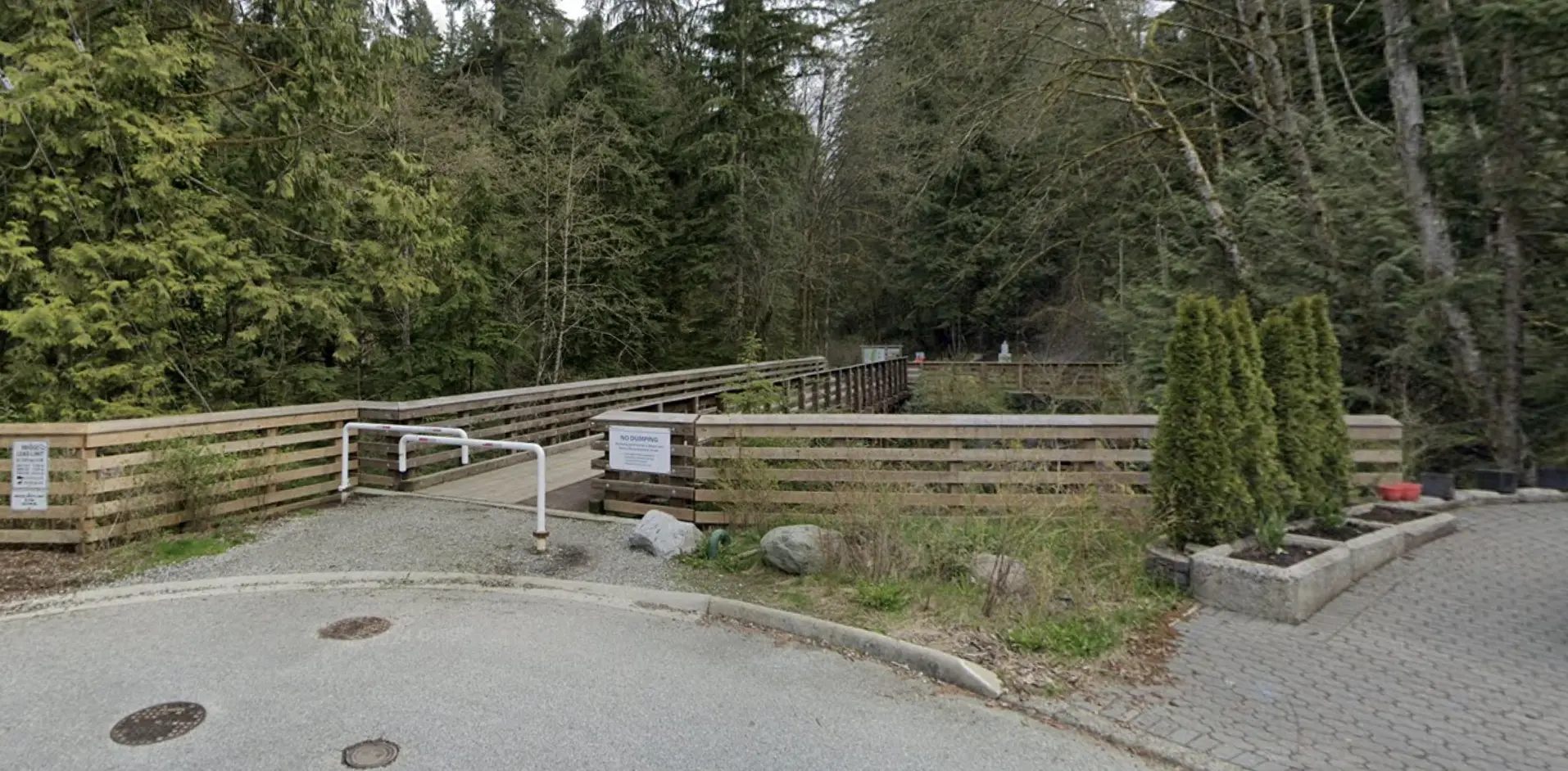 Mount Seymour Park Fishermans' Trail for dog hike