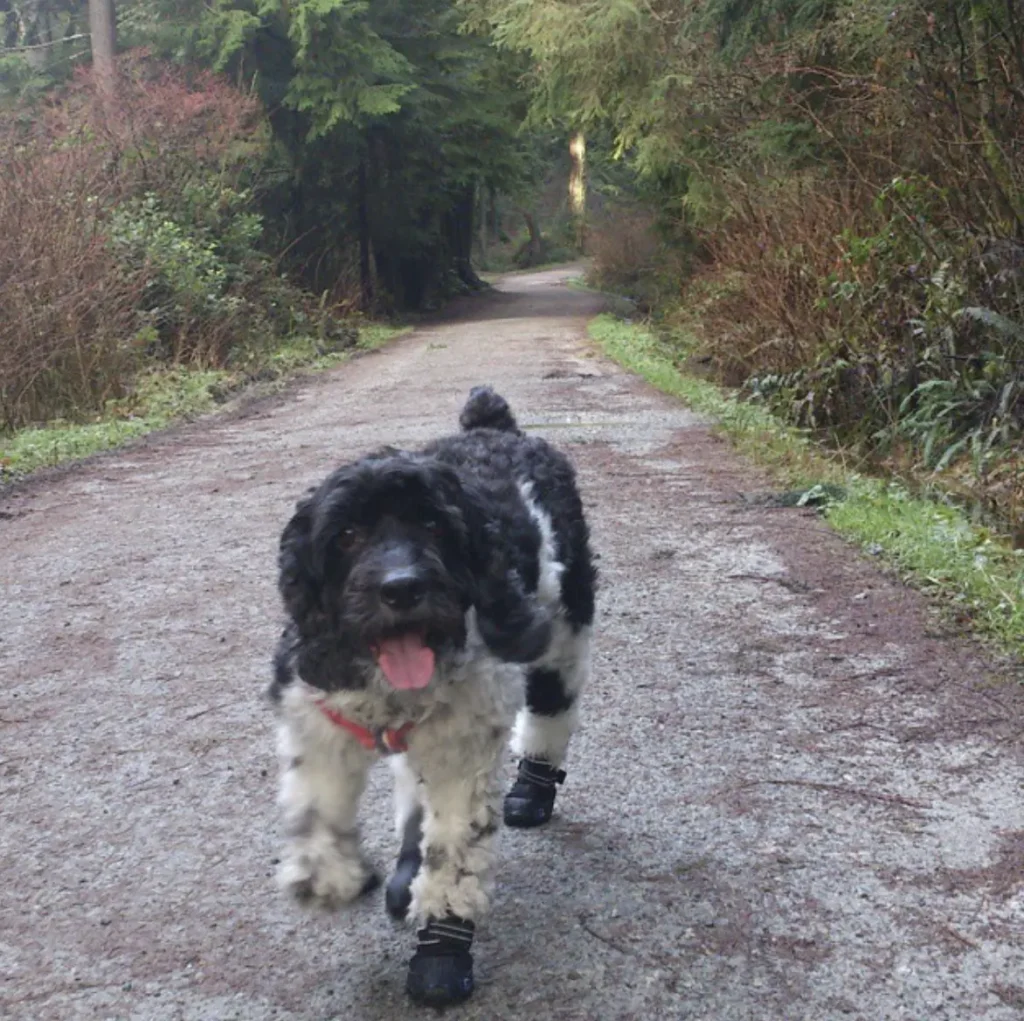 Cleveland dam hike with Shinji
