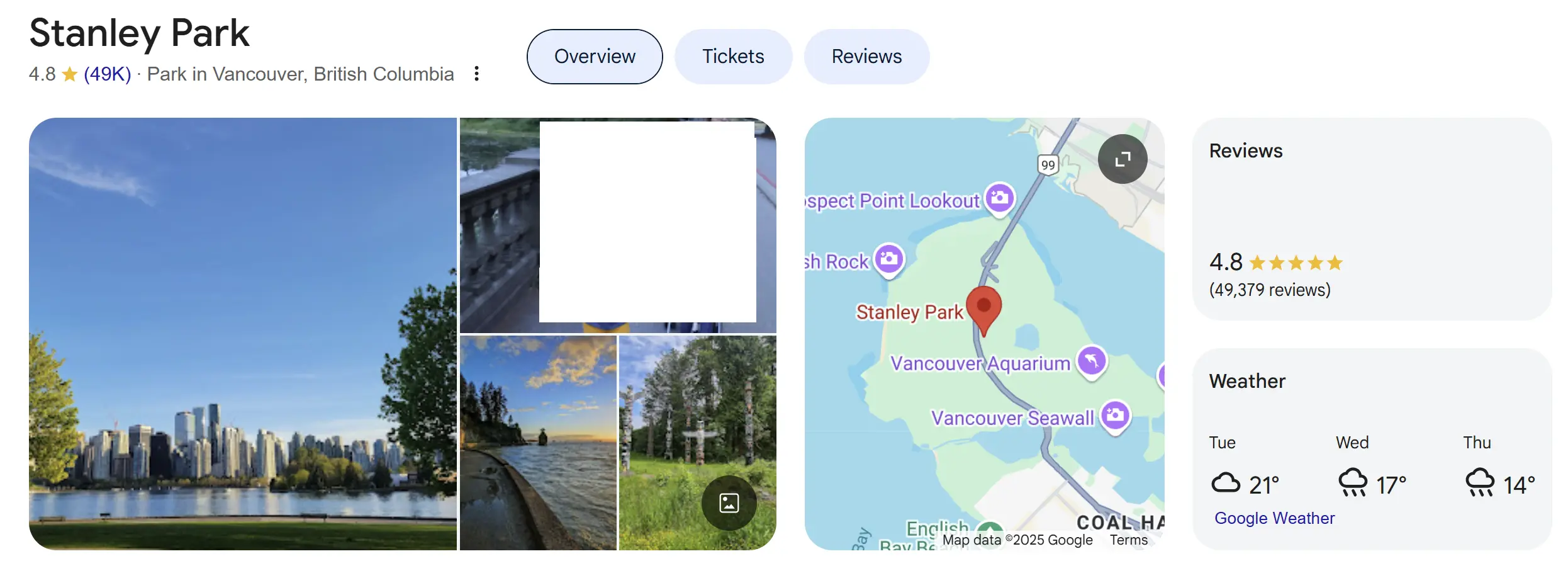 Walking Stanley park with your dog