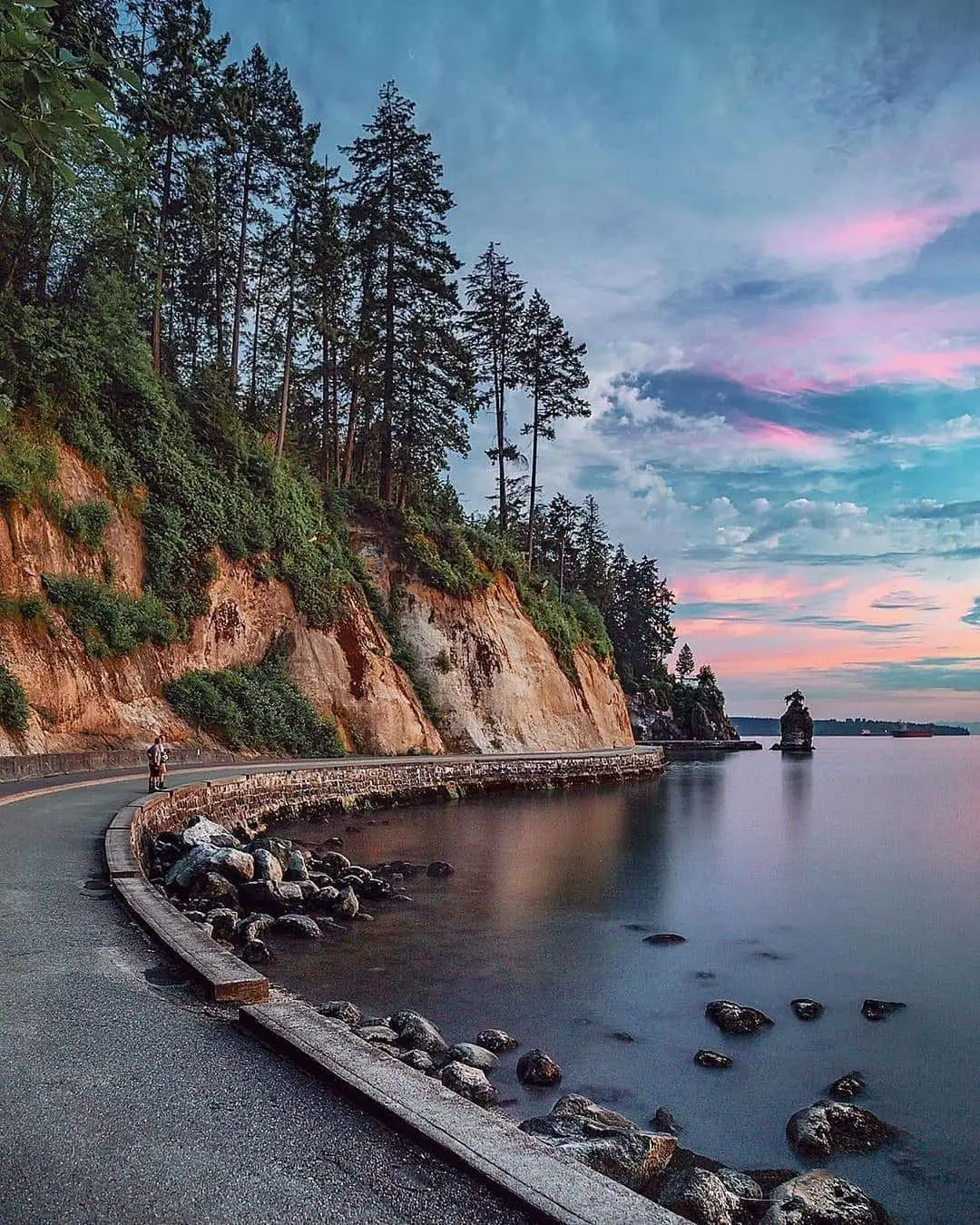 Stanley park seawall with your dog. Leash required