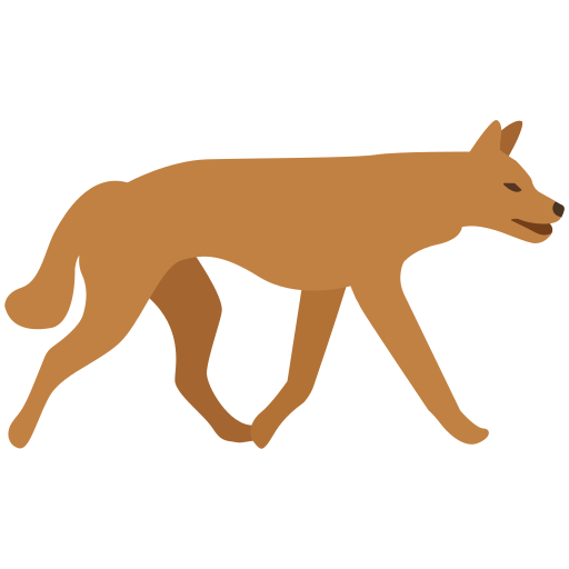 Dog off-leash walking or hiking