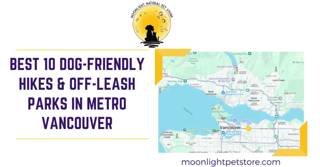 Best 10 Dog-Friendly Hikes and Off-leash Parks in Metro Vancouver