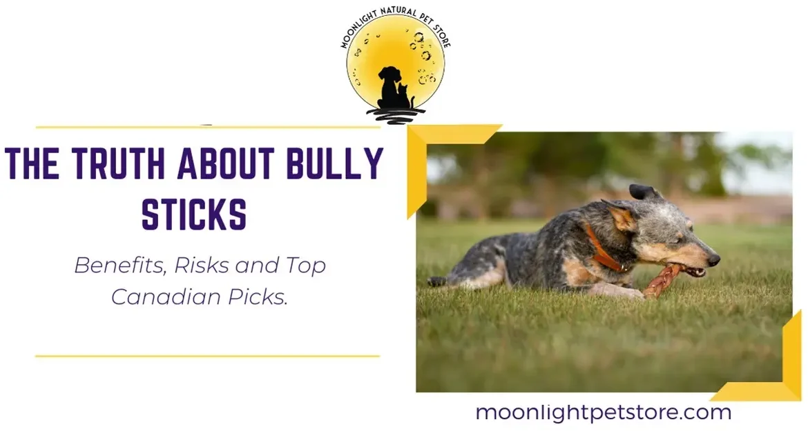 The Truth About Bully Sticks: Benefits, Risks and Top Canadian Picks 36 Best Bully Stick for dog to chew Canada
