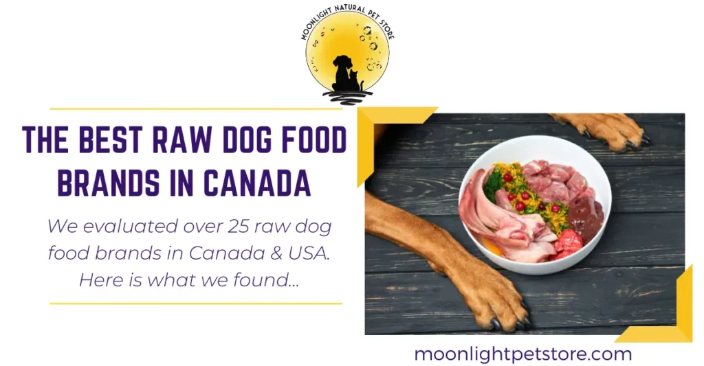 The Best Raw Dog Food Brands in Canada (2025)
