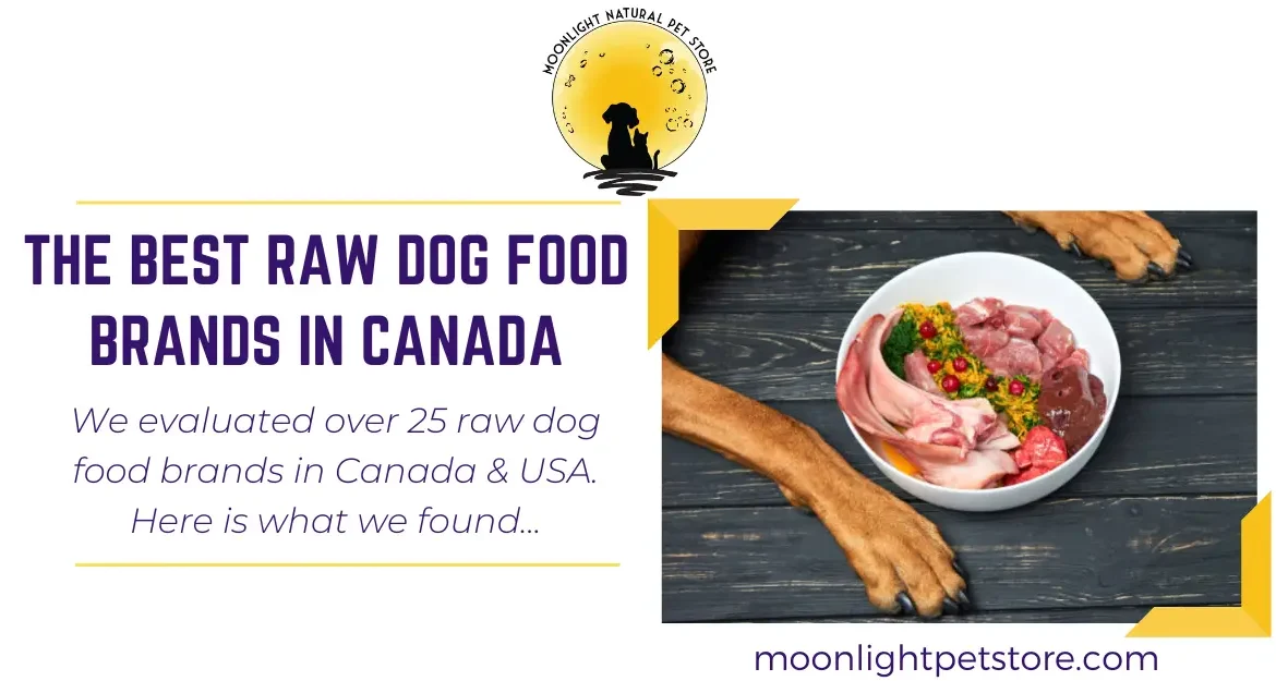 The Best Raw Dog Food Brands in Canada (2025) 22 Dog sitting in front of raw dog food with muscle meat, liver, ears, seeds and vegetables. Looks like a Barf Diet