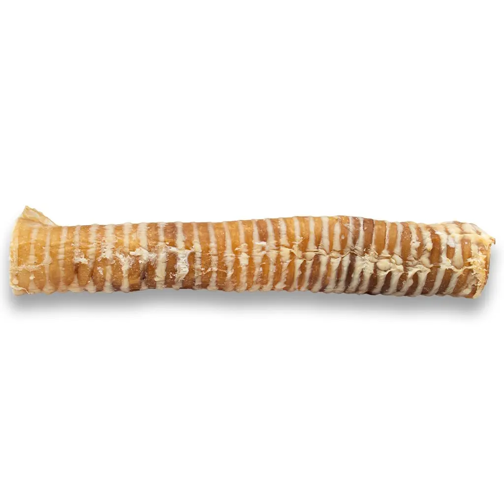 Trachea Chew for dog