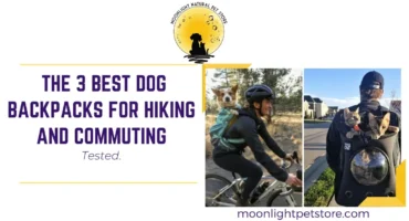 Best Dog Backpack reviewed with dog in backpack during cycle and cats in backpack for hike