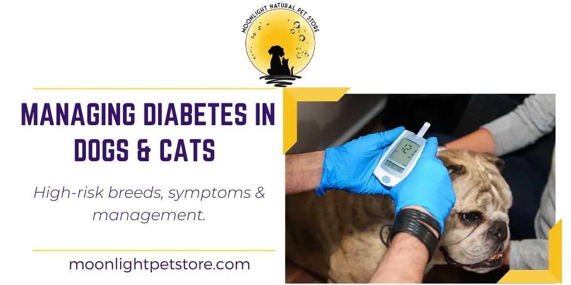 Diabetes in Dogs & Cats