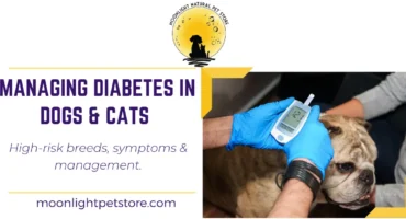 Diabetes in Dogs & Cats