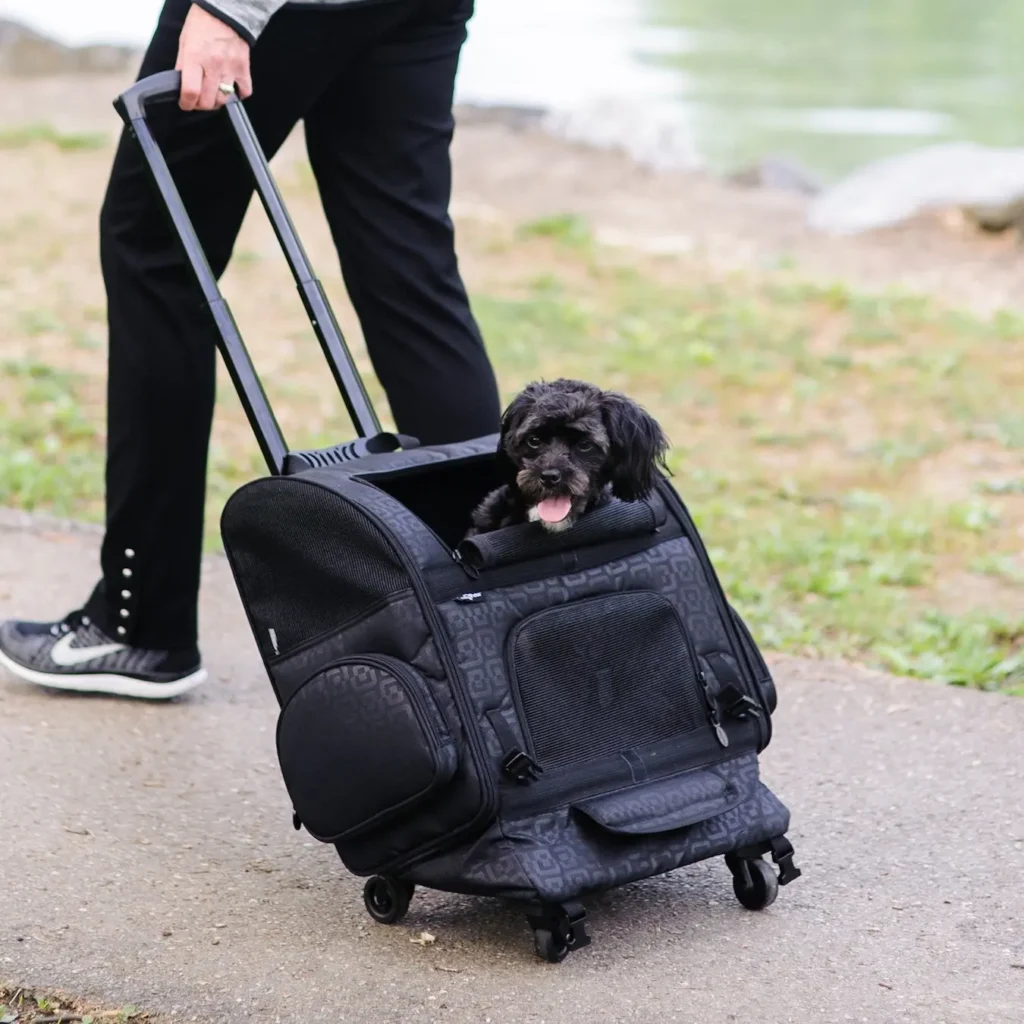 Dog being rolled in the Gen7Pets Roller Pet Carrier