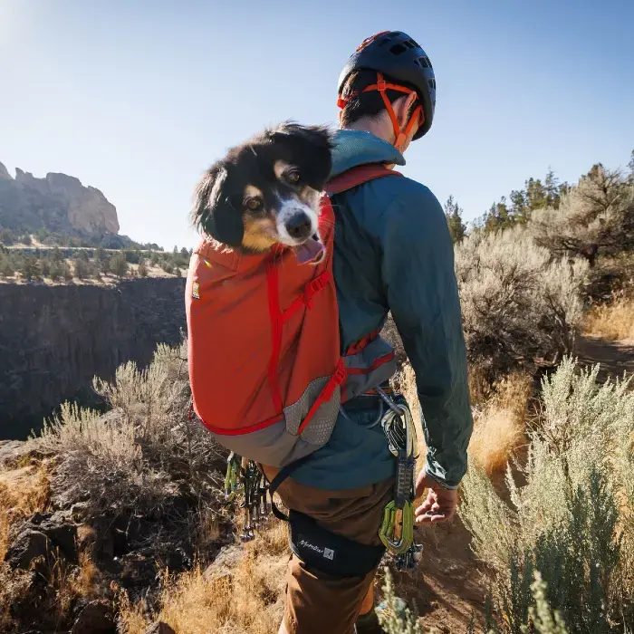 Hiking Person with Dog in the Ruffwear Hitch Hiker Backpack Dog Carrier