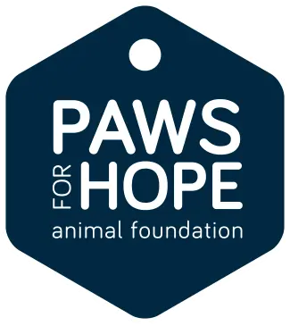 Paws for Hope is a local Vancouver animal welfare dedicated to free veterinary clinics for low-income residents. 