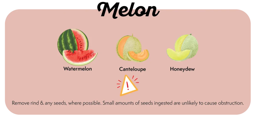 Can My Dog Eat This Fruit? What Fruits Should Dogs Eat/ Avoid 42 Picture of which type of melon fruits that dogs can eat and risks. Can My Dog Eat Melons eg. watermelons, honeydew, canteloupe?