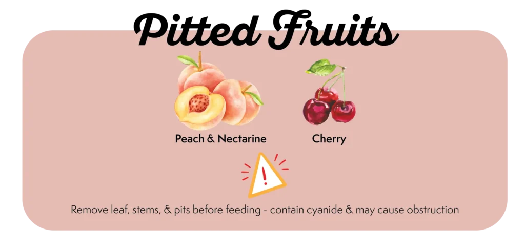Can My Dog Eat This Fruit? What Fruits Should Dogs Eat/ Avoid 40 Picture of which pitted fruits like peach that dogs can eat and risks. Can My Dog Eat Pitted Fruits like peaches, cherries etc?