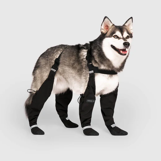 Best Dog Boots in Canada for Winter. Why Dogs Need Dog Boots in Winter 86 Canada Pooch Dog Suspender Boots stay on during dog walks