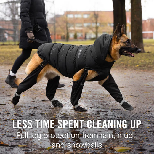 Best Dog Boots in Canada for Winter. Why Dogs Need Dog Boots in Winter 85 Canada Pooch Dog Suspender Boots for larger dogs