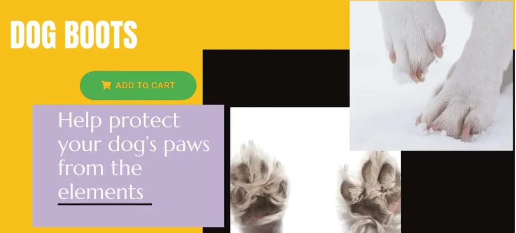 Best Dog Boots in Canada for Winter. Why Dogs Need Dog Boots in Winter 79 Dog limping from salt or snow. Why you need dog boot