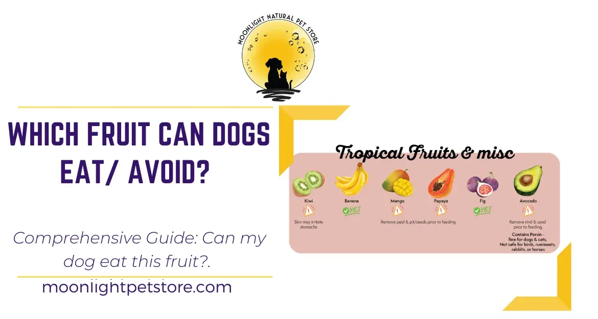 Cover showing fruits that dogs can eat and should avoid
