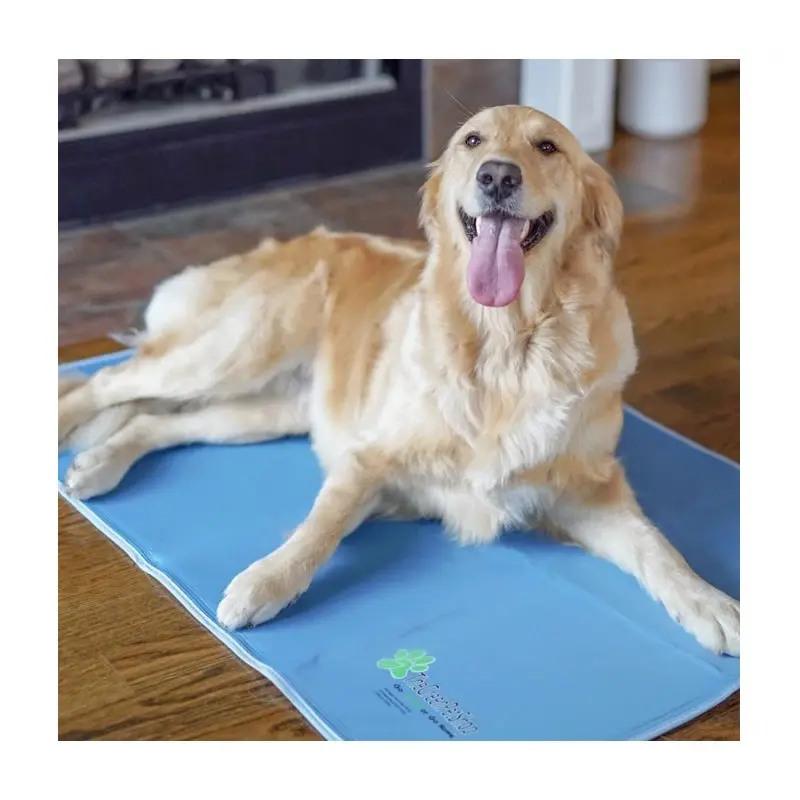 Best Dog Beds in Canada: How to Choose the Right Bed for Your Dog 67 Green Pet Shop Pet Mat for dogs that like it cool