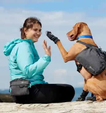 Best Dog Boots in Canada for Winter. Why Dogs Need Dog Boots in Winter 90 RC Pet Strider Dog Boot made for everyday walks