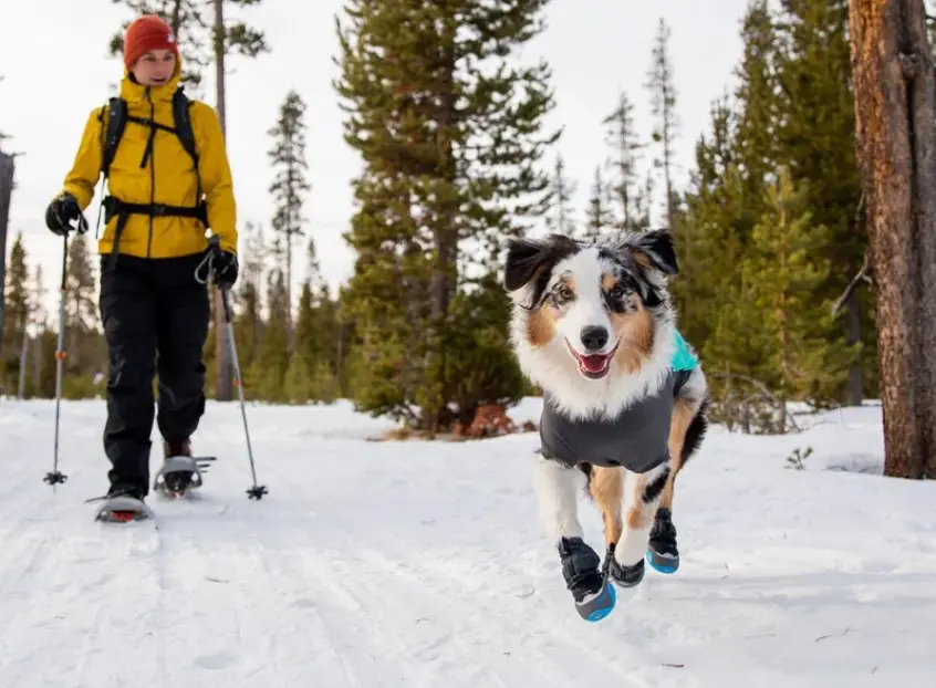 Best Dog Boots in Canada for Winter. Why Dogs Need Dog Boots in Winter 81 Ruffwear Polar Trex Dog Boot available Moonlight Pet Store