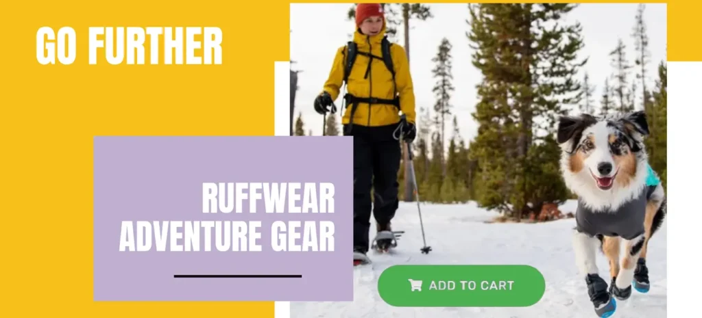 Best Dog Boots in Canada for Winter. Why Dogs Need Dog Boots in Winter 83 Shop Ruffwear Canada Moonlight Pet Store