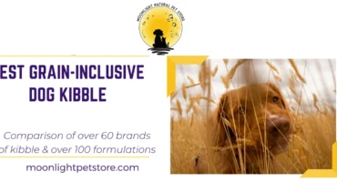 Best Grain friendly dog kibble with dog walking through field