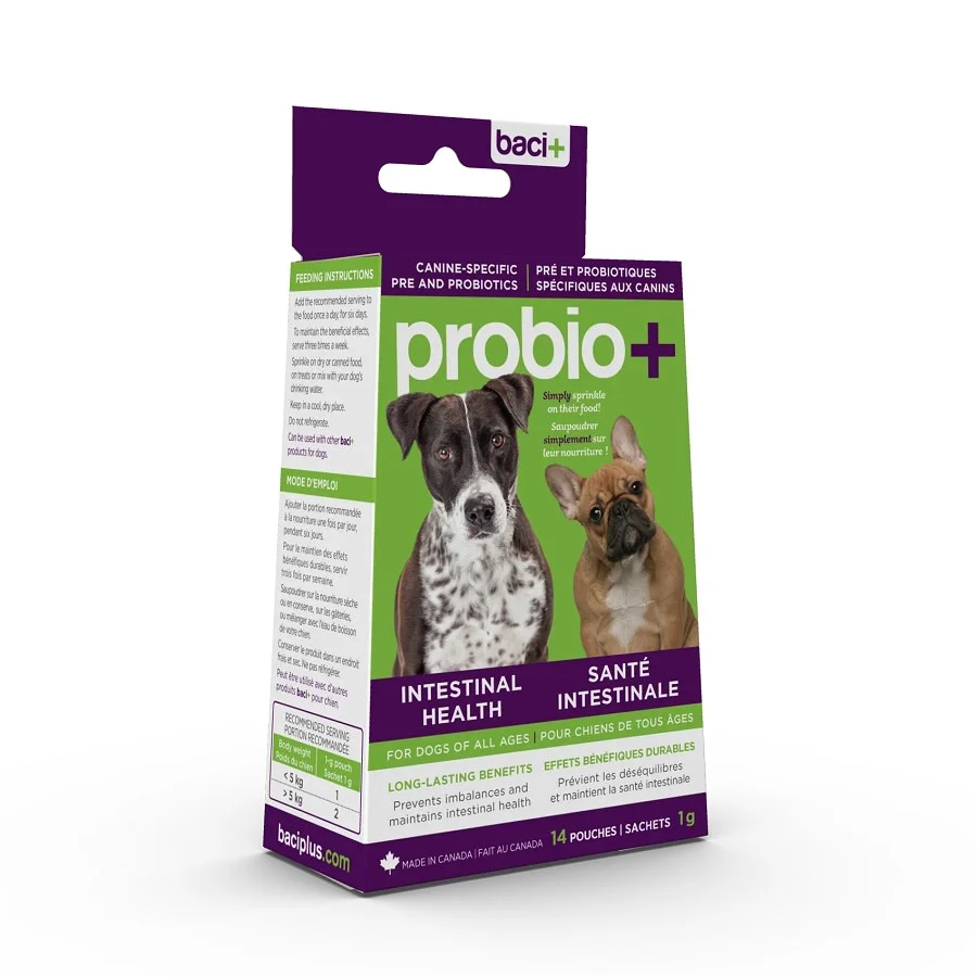 The Best Dog Probiotics For Diarrhea, Allergies and Gut Health (2026 Expert Guide) 58