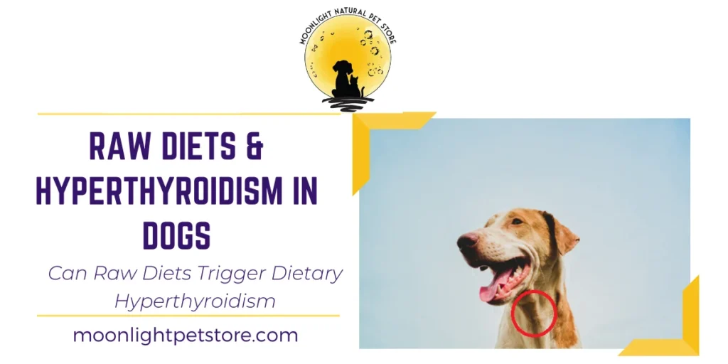 Can Raw Diets Cause Hyperthyroidism in Dogs? Evidence, Risks &amp; Safe Feeding