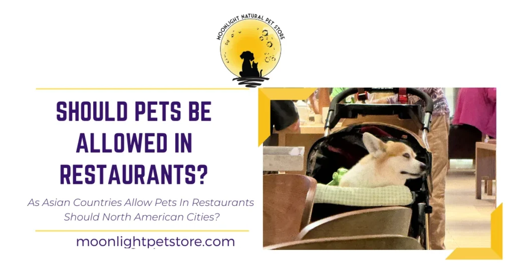 As Asian Countries Allow Pets in Restaurants, Should Vancouver and Other North American Cities Follow?