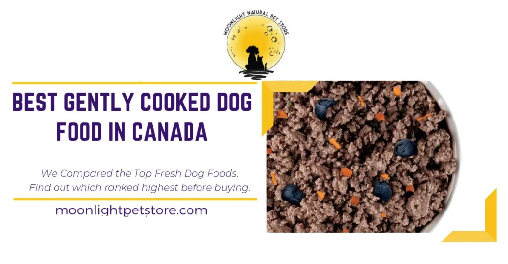 Best Gently Cooked Dog Food in Canada: We Compared the Top Fresh Dog Foods