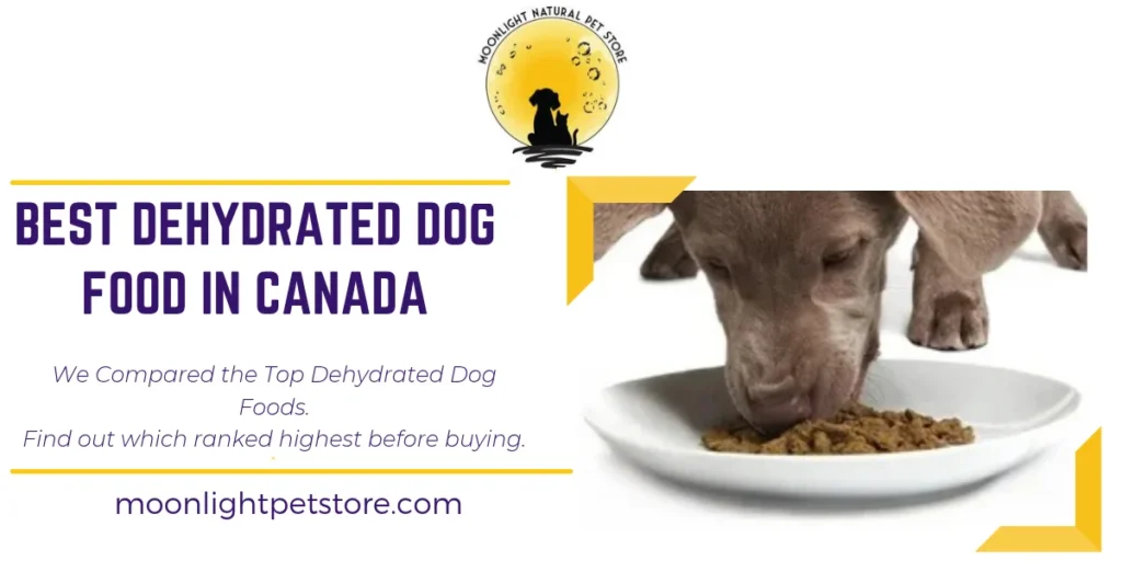 Best Dehydrated Dog Food in Canada (2026): We Compared 38 Air-Dried and Dehydrated Recipes